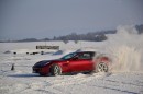 18.1.2017 Scuderia Driving Experience 2017