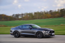 Mustang GT Personal Drive Coaching !!! EXKLUZIVNÍ !!!