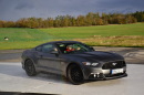 Mustang GT Personal Drive Coaching !!! EXKLUZIVNÍ !!!